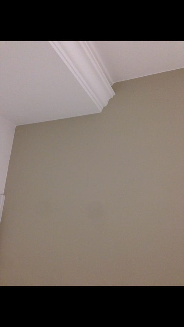 Dettaglio affilatura colori perfetta tra soffitto e parete a Foligno